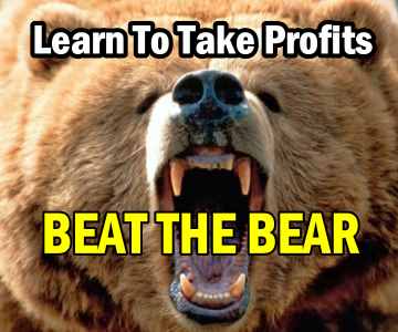 Beat The Bear – Learn To Take Profits With This Spreadsheet – Become A Better Investor