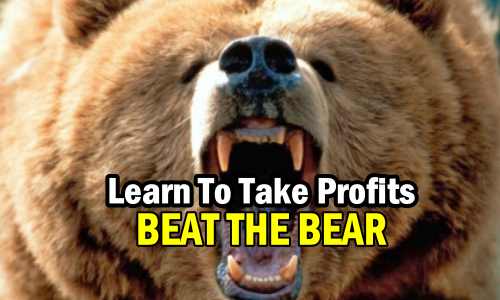 Become A Better Investor and Beat The Bear By Learning To Take Profits With This Spreadsheet