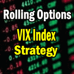 Decision-Making For When to Roll The VIX Index Strategy