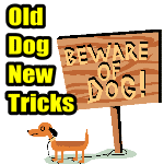 Old Dog New Tricks – Understanding The Type Of Investor You Are