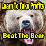 Beat The Bear – Learn To Take Profits With This Spreadsheet – Become A Better Investor