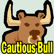 Financial Investment Strategy – The Cautious Bull