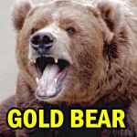 Collapse of Gold Ushers In Bear